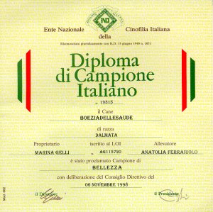 campione italiano