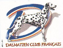 DALMATIEN CLUB FRANCAIS